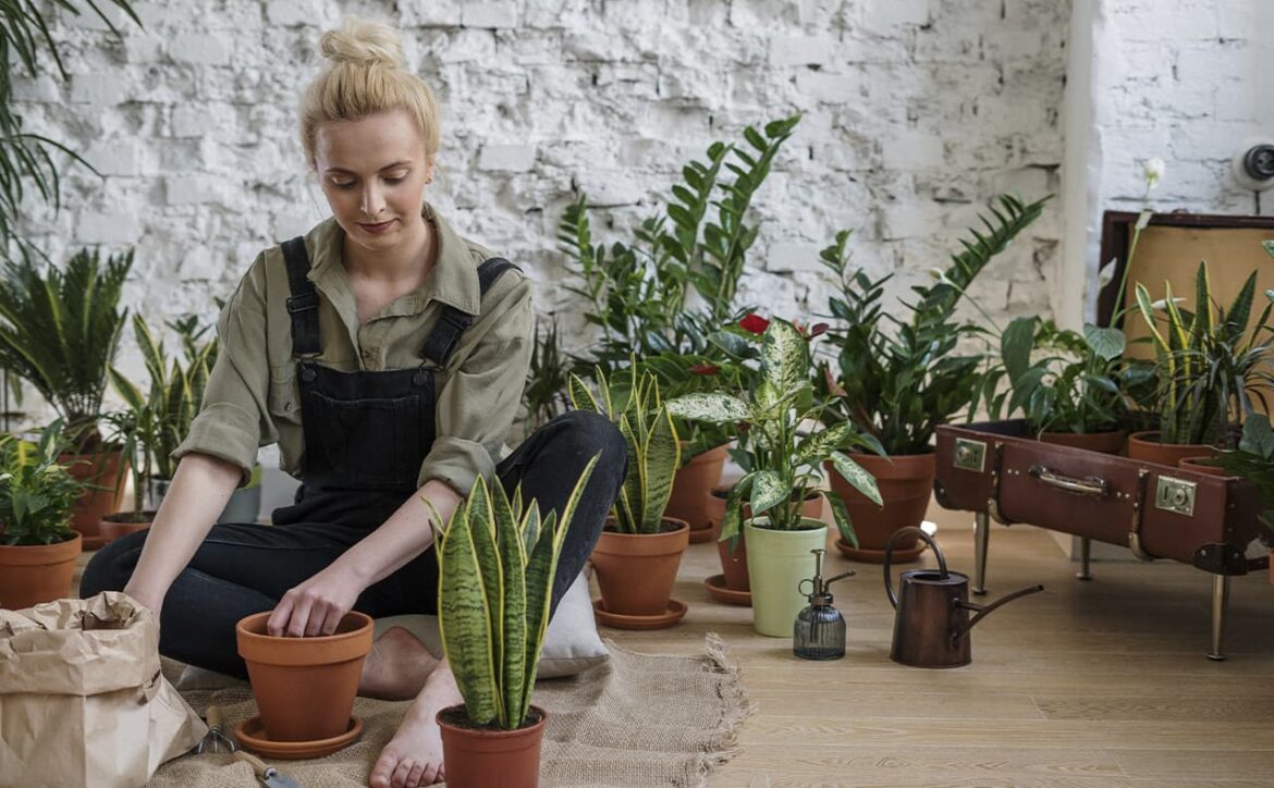 plants