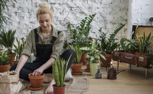 plants