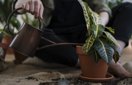 Ornamental gardening